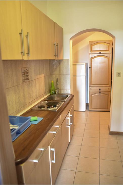Vila Mila Petrovac Extérieur photo