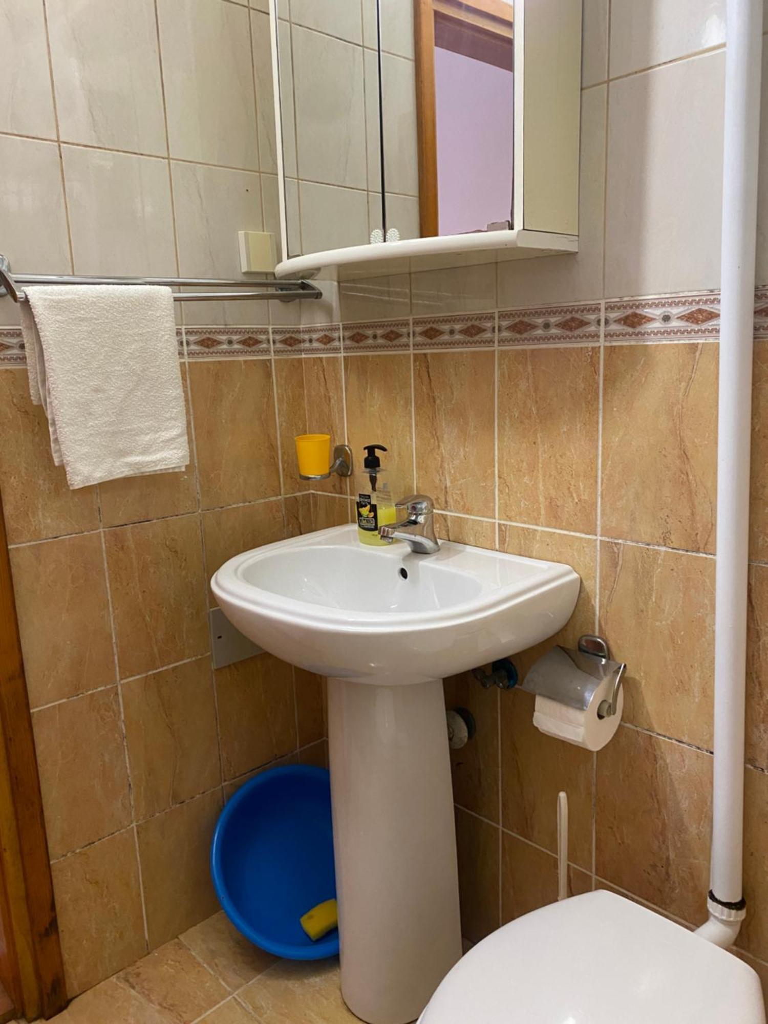 Vila Mila Petrovac Extérieur photo